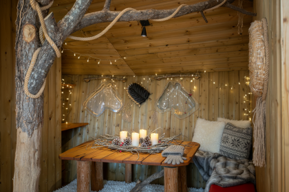 Maison dans les branches 4/6