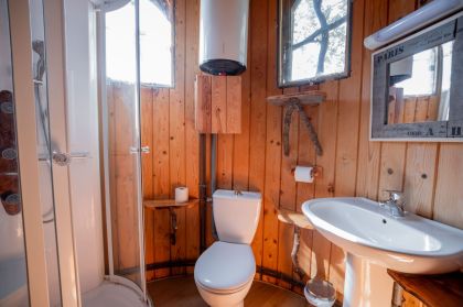 maison dans les branches